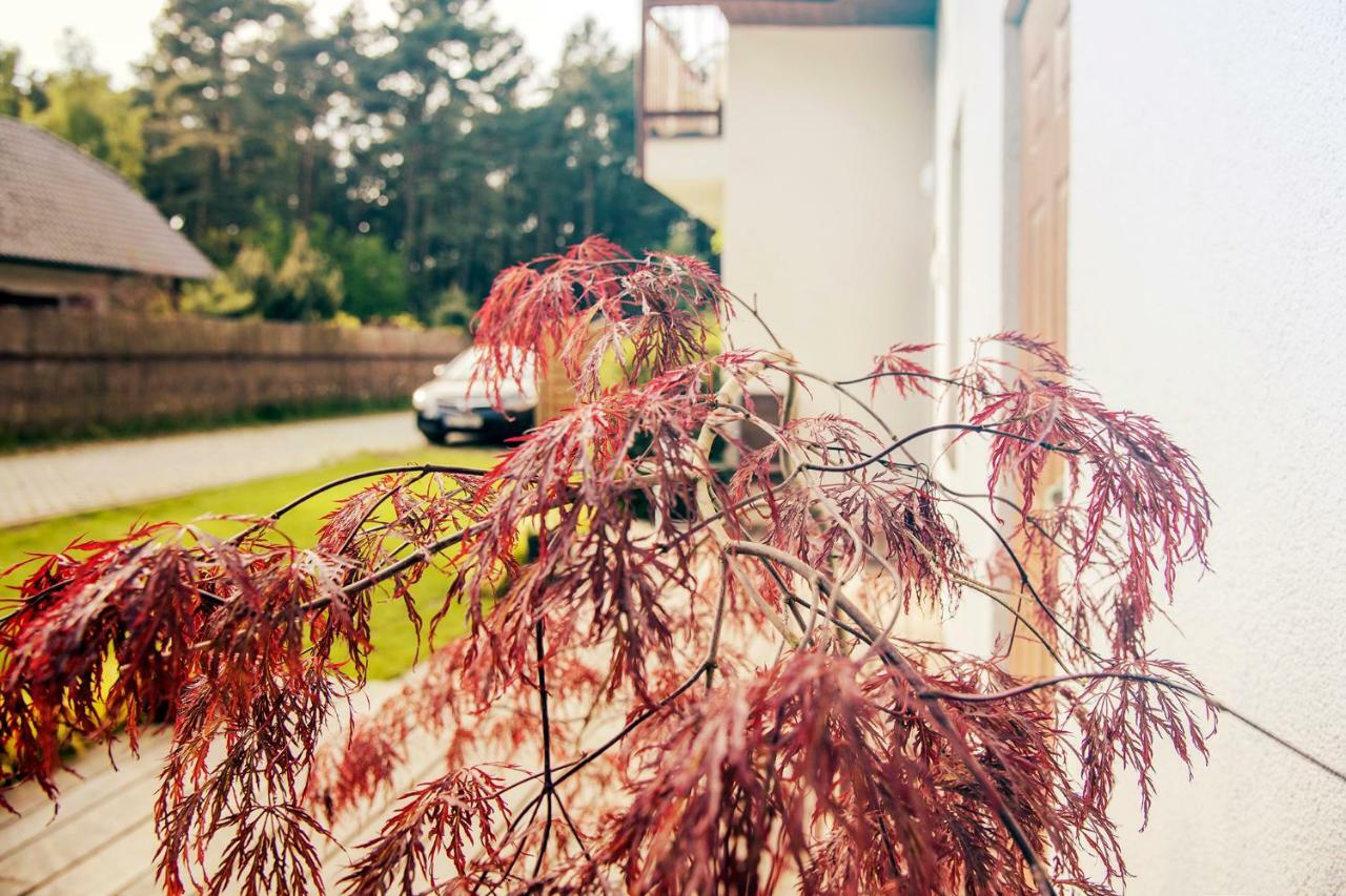 Urlop Przy Wydmach Leilighet Międzywodzie Eksteriør bilde